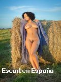 Escorts en en Villanueva De Los Infantes